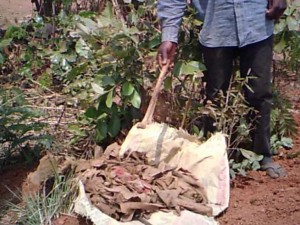 Article : On déloge des morts de leurs tombes à Lubumbashi