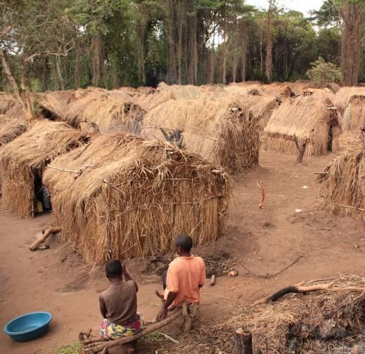 Article : QUOI, &Ccedil;A  AUSSI, LA FAUTE A MOBUTU &hellip; ET AUX BELGES ?
