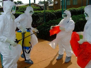 Article : Chut! RDC, Ebola n’est pas mort : plus de singe alors dans vos plats!