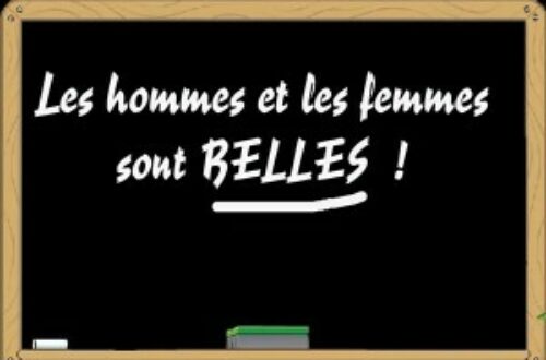 Article : Les sexes des mots, le français à l’épreuve