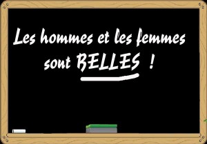 Article : Les sexes des mots, le français à l’épreuve