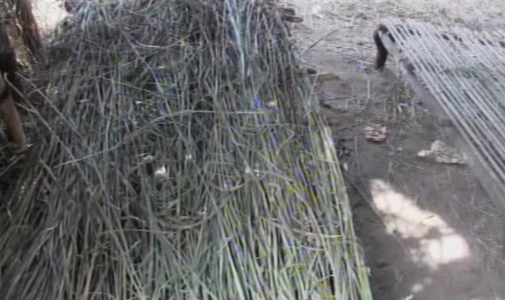 Article : Les lits en pailles pour les malades de chol&eacute;ra au Katanga