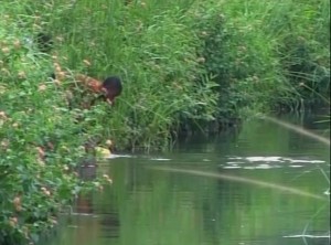 Centre de santé Mukuna, eau de boisson