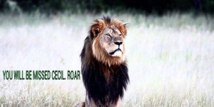 Article : #CecilTheLion : quand la mort d’un lion supplante celle d’un homme