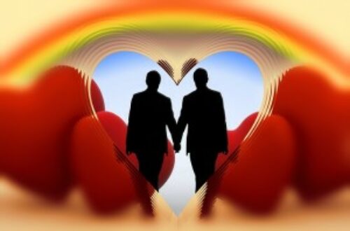 Article : Aux homophobes l’enfer, vive la démocratie LGBT !