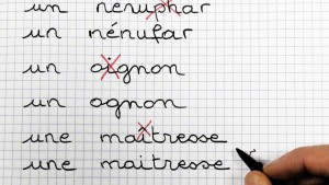 Article : Consultez-nous avant de toucher au fran&ccedil;ais