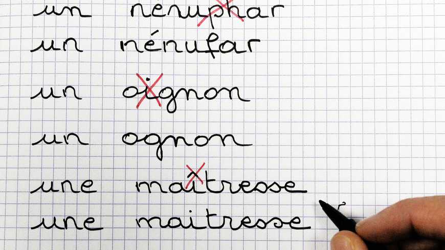 Article : Consultez-nous avant de toucher au fran&ccedil;ais